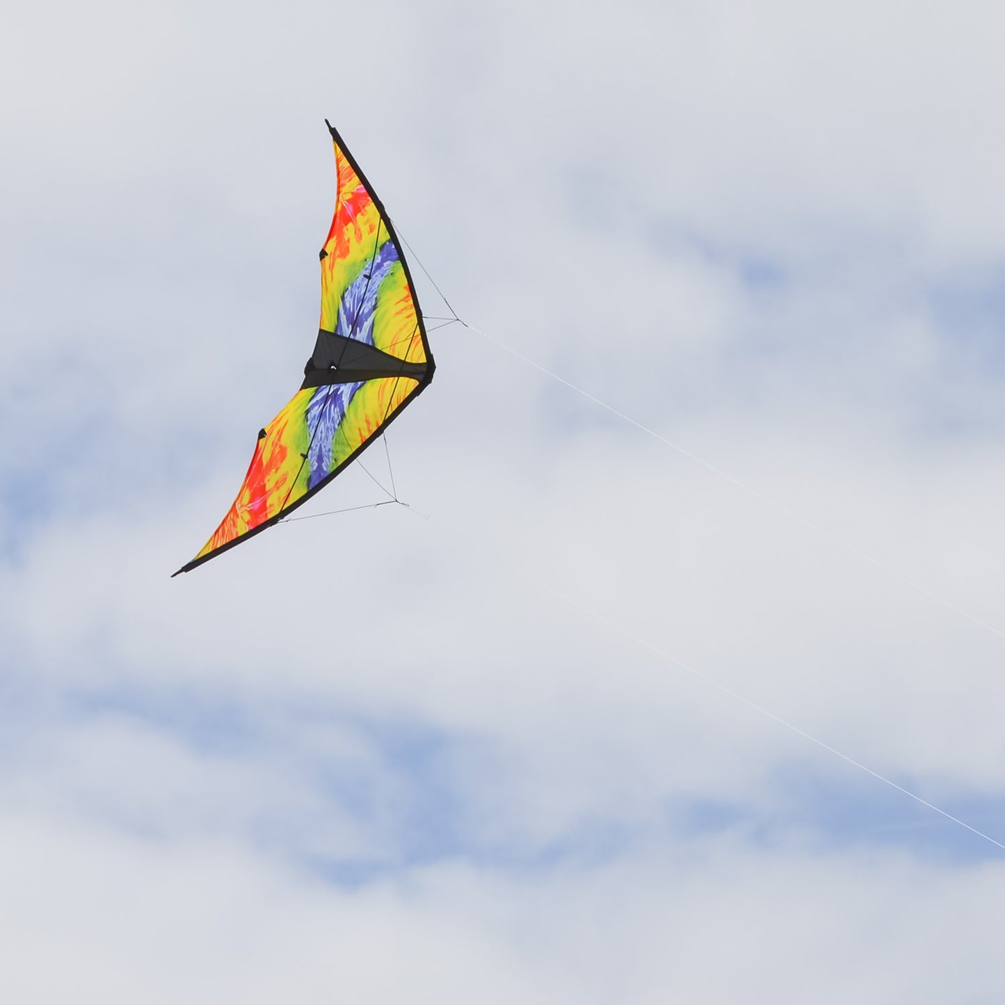 48" Sport Kite - Groovy Stunter