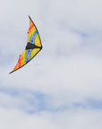 48" Sport Kite - Groovy Stunter