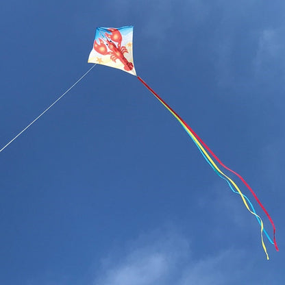 30" Diamond Kite - Lobster