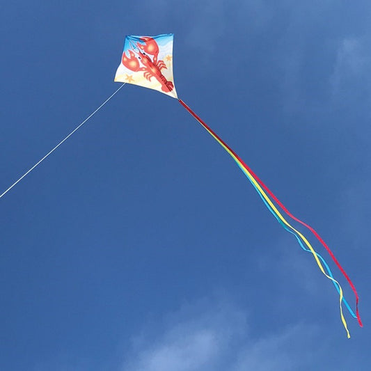 30" Diamond Kite - Lobster