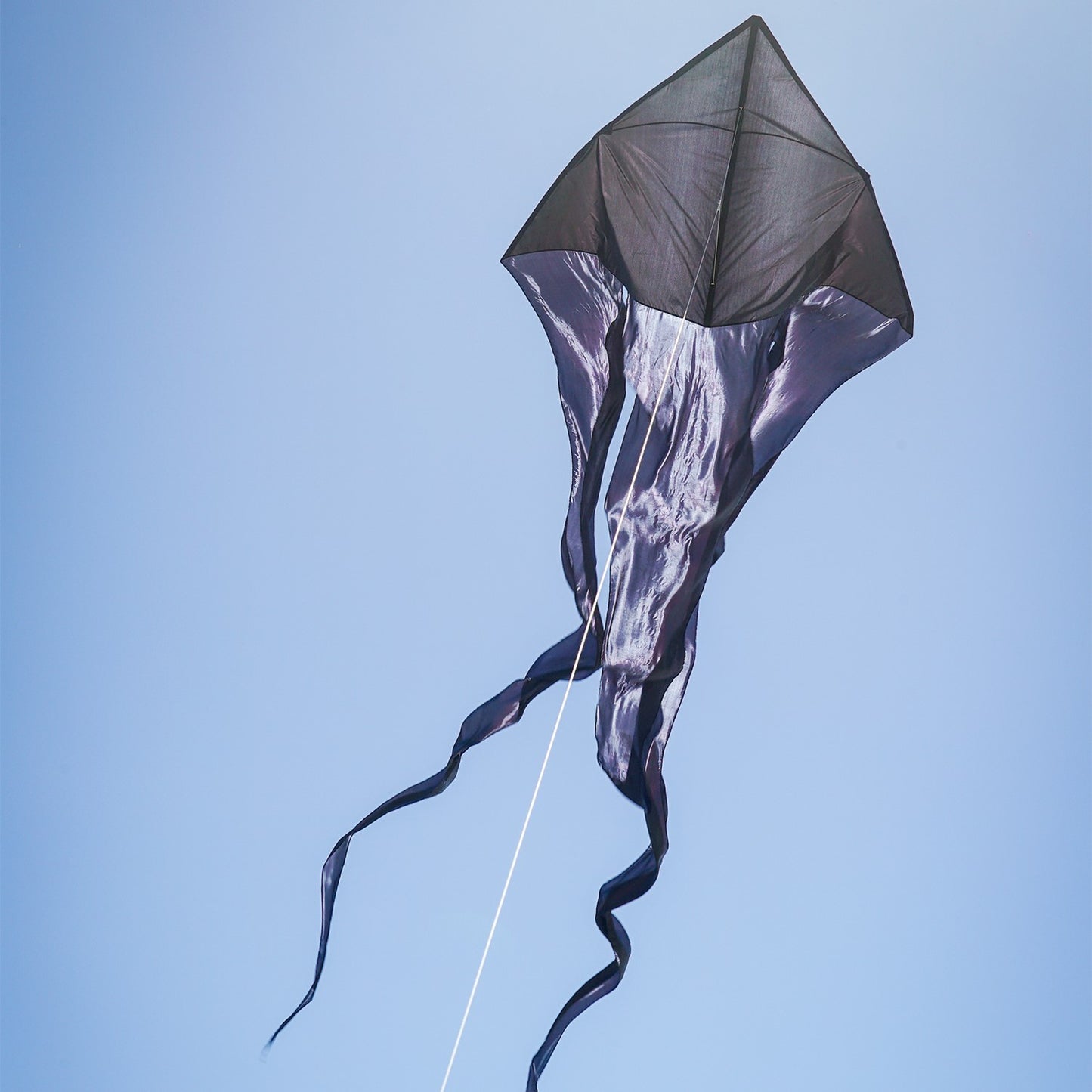 77" Wave Delta Kite - Black
