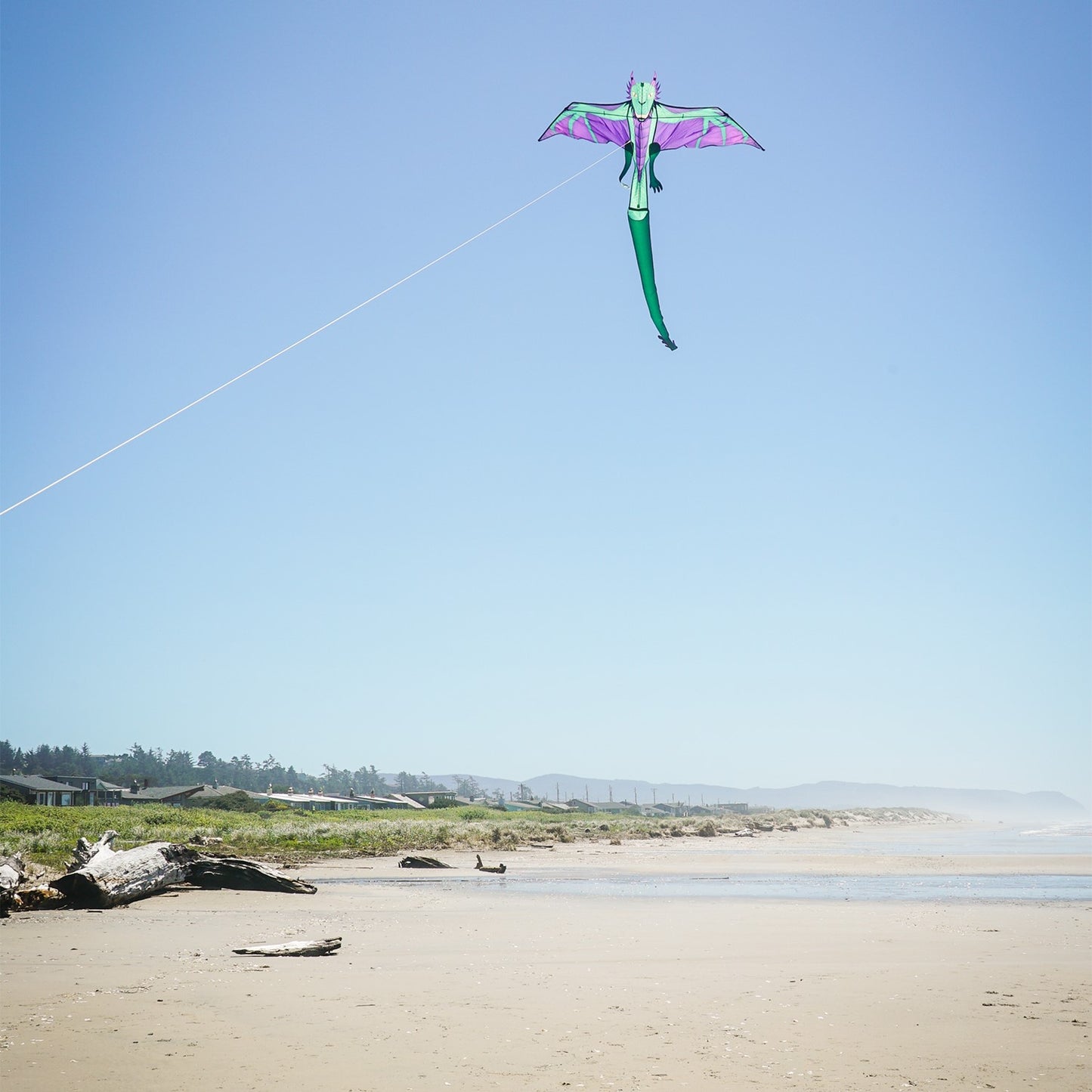 90" Dragon Kite