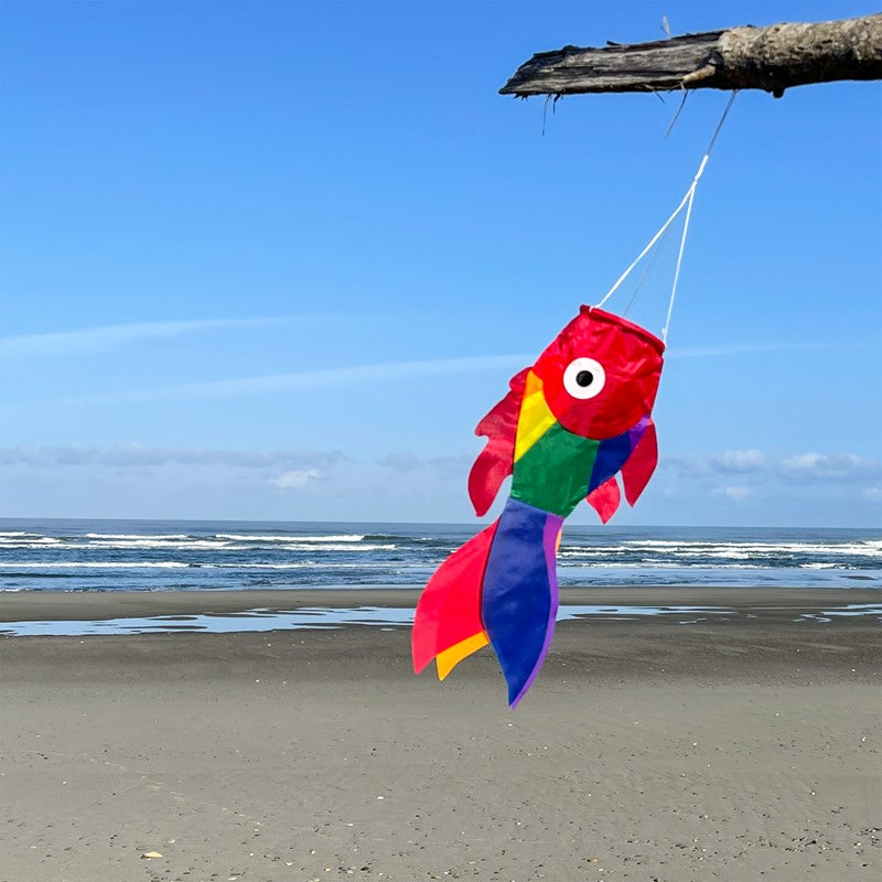 15" Damsel Fish - Rainbow