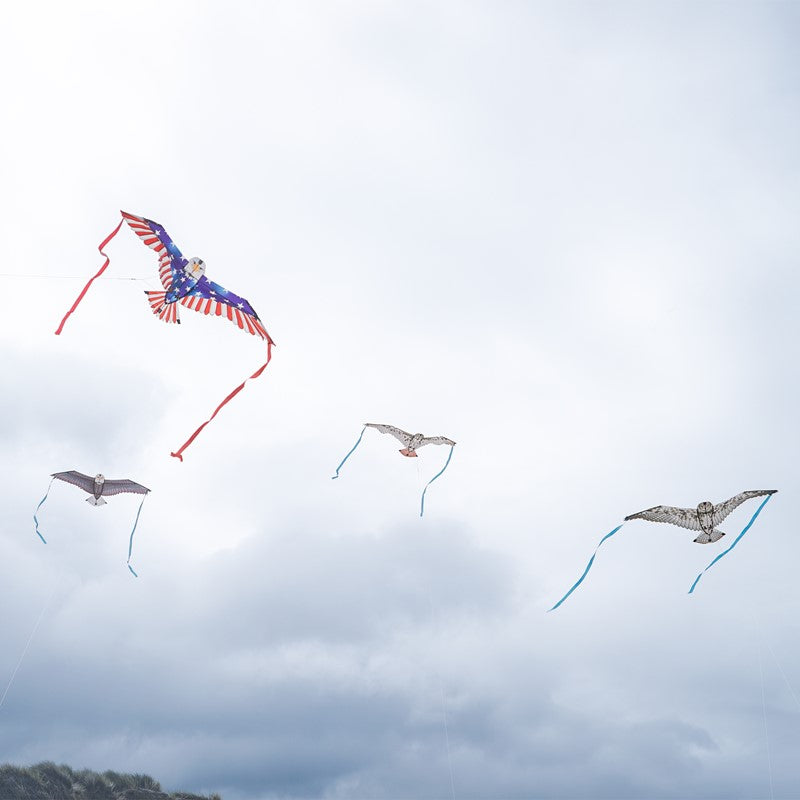 40" Bitty Bird Kite - Patriotic Eagle