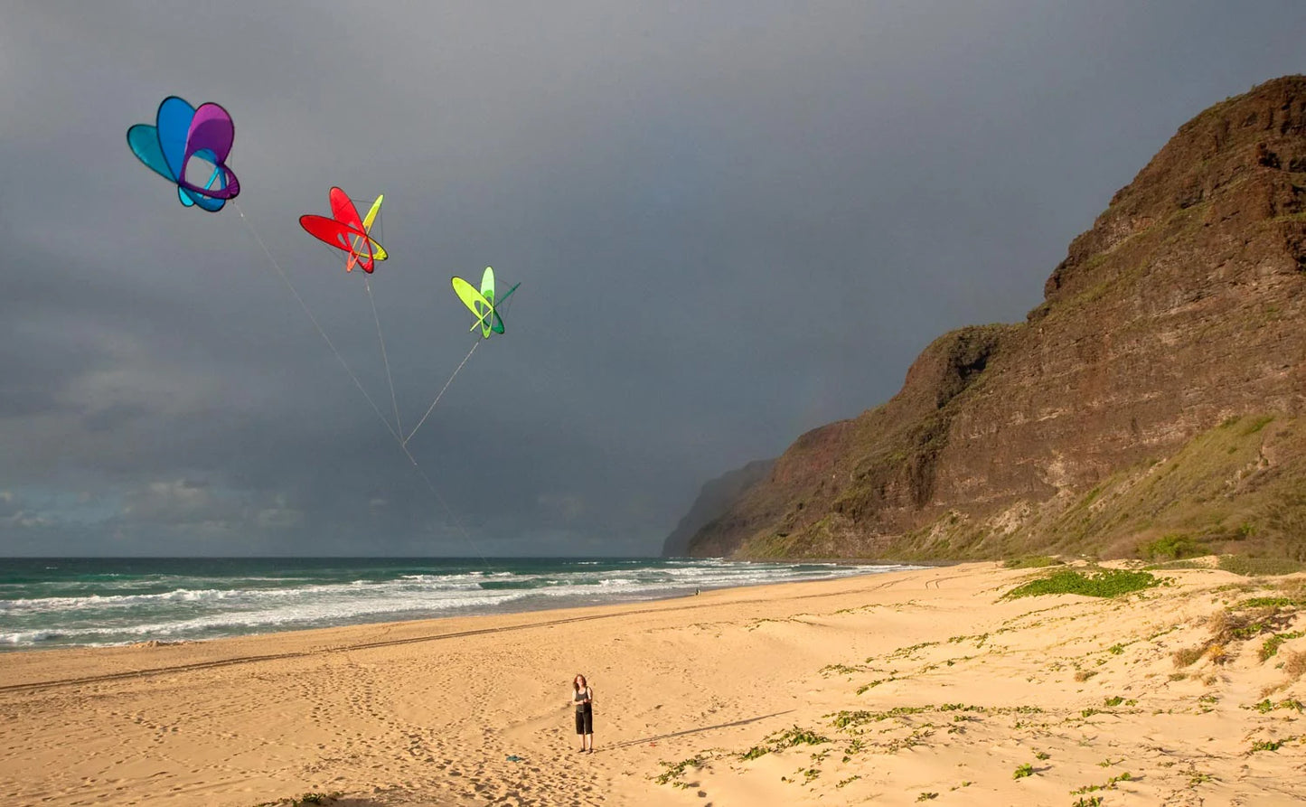 Prism EO Atom Box Kite
