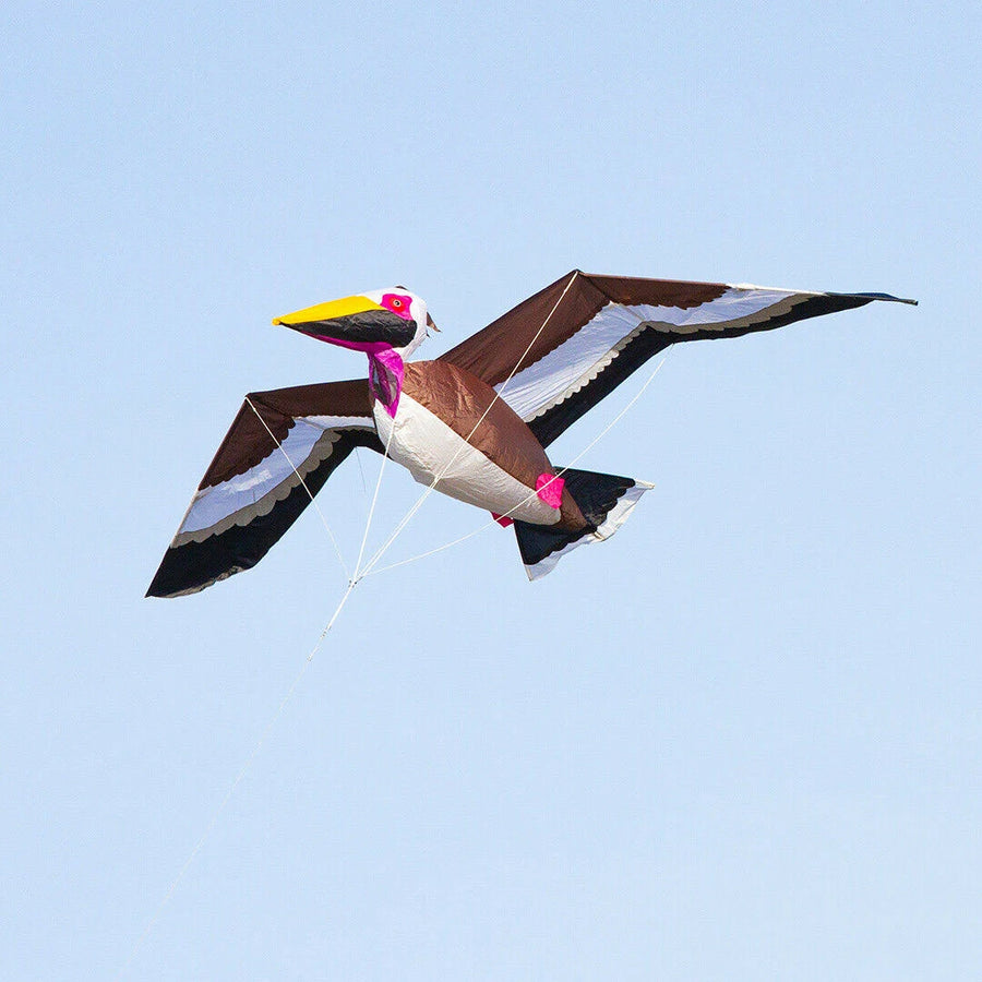 Pelican 3-D Kite