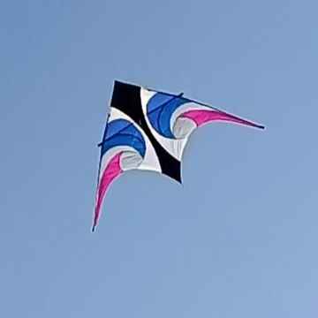 11.5 Delta Kite - Waverider