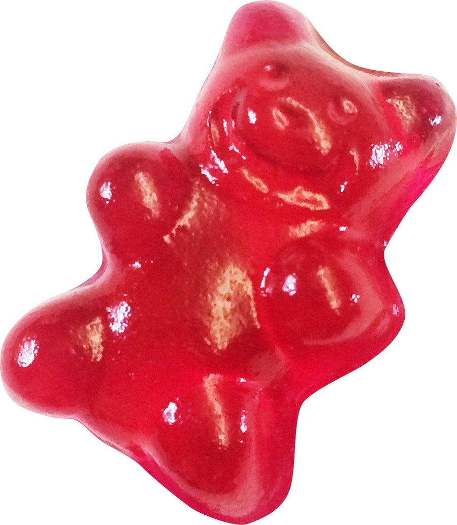 Gummy Candy Lab - Animals - Kitty Hawk Kites Online Store
