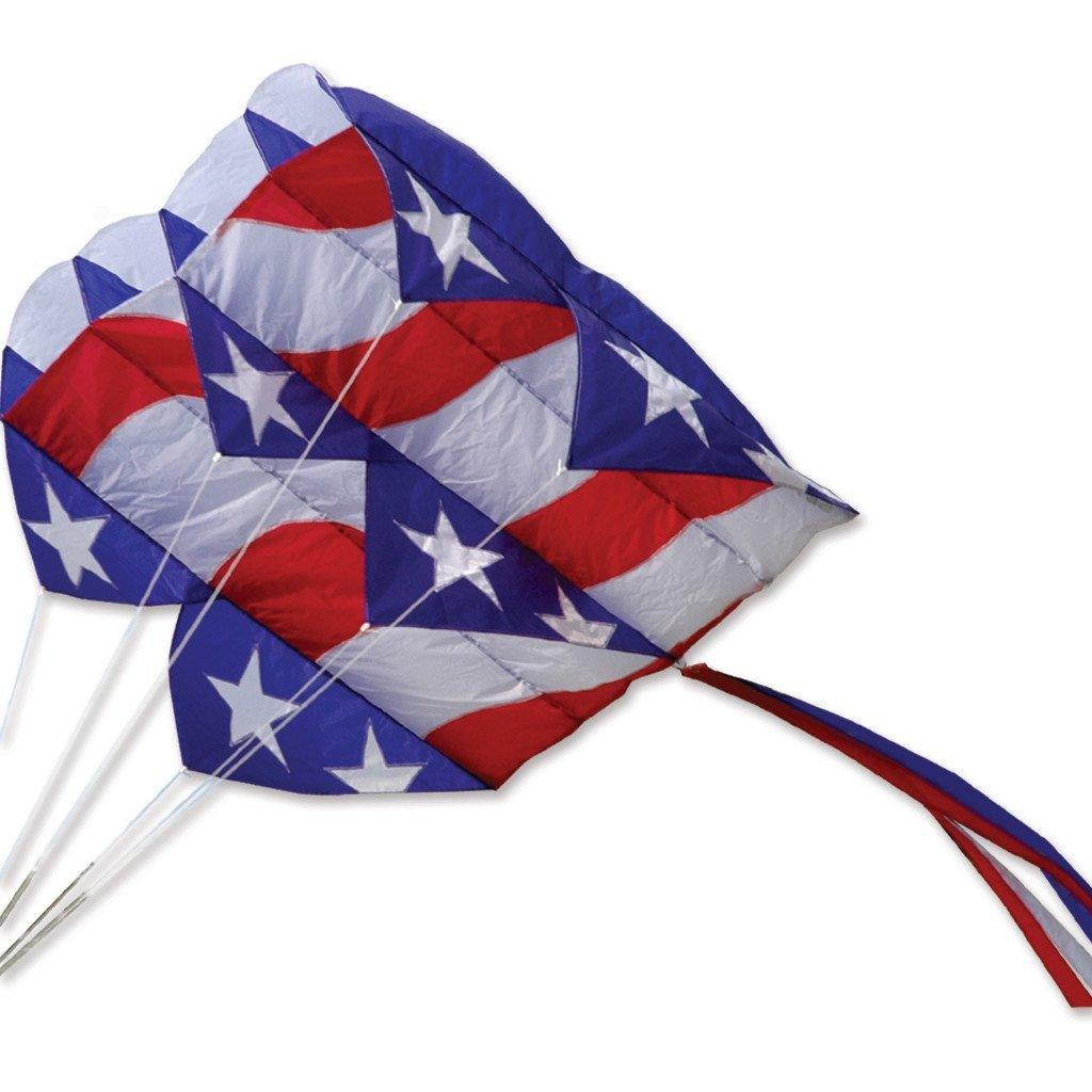 Parafoil 7.5 Kite - Kitty Hawk Kites Online Store