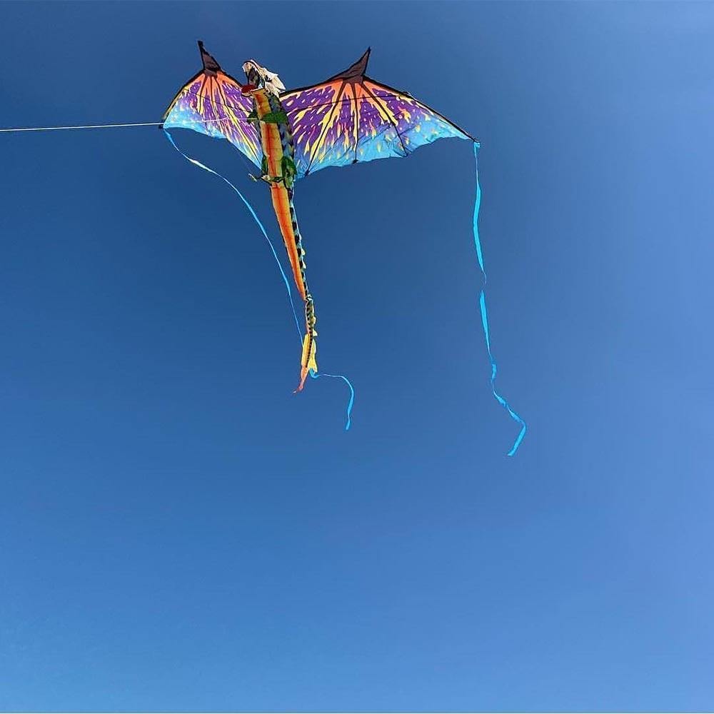 3-D Dragon Kite - Kitty Hawk Kites Online Store