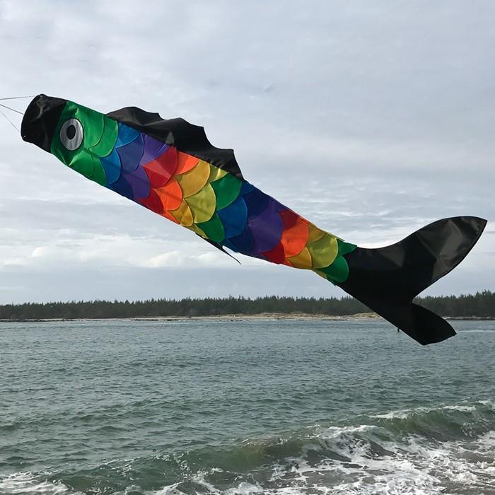 Rainbow Scales 60 Inch Fish Windsock - Kitty Hawk Kites Online Store