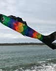 Rainbow Scales 60 Inch Fish Windsock - Kitty Hawk Kites Online Store