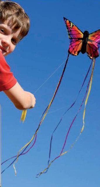 Ruby Butterfly Kite - Kitty Hawk Kites Online Store