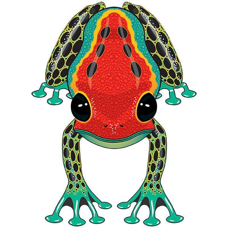 Dart Frog Rainforest Kite - Kitty Hawk Kites Online Store