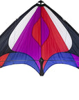 Beetle Stunt Kite - Kitty Hawk Kites Online Store