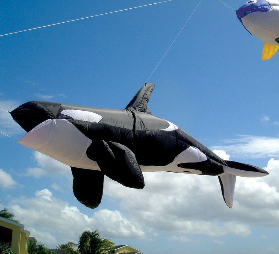 Killer Whale 8 Foot Kite Line Laundry - Kitty Hawk Kites Online Store