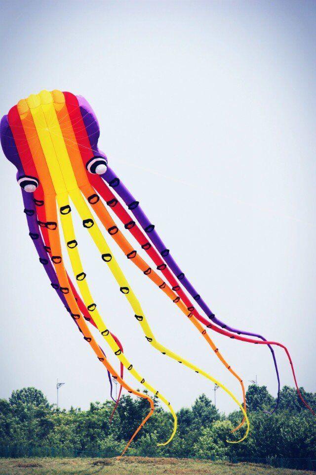 15m Octopus Inflatable Kite - Kitty Hawk Kites Online Store