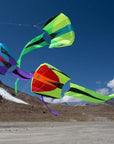 Prism Bora 5 Parafoil Kite - Kitty Hawk Kites Online Store