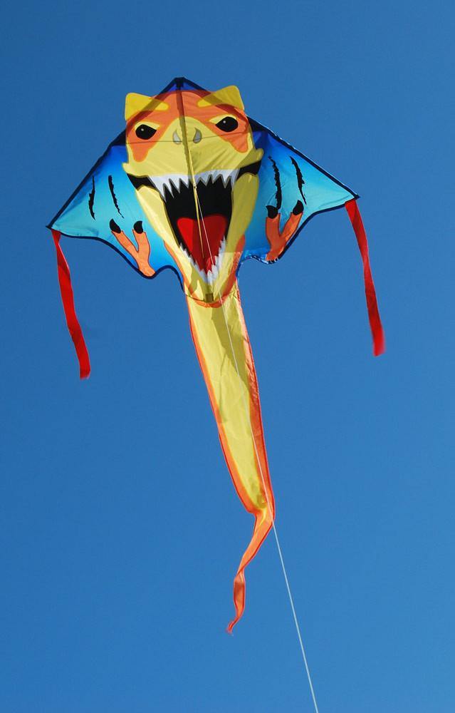 T-Rex Easy Flyer Kite - Custom KHK Color - Kitty Hawk Kites Online Store