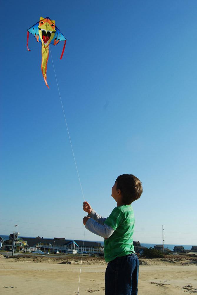 T-Rex Easy Flyer Kite - Custom KHK Color - Kitty Hawk Kites Online Store