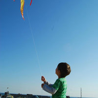 T-Rex Easy Flyer Kite - Custom KHK Color - Kitty Hawk Kites Online Store