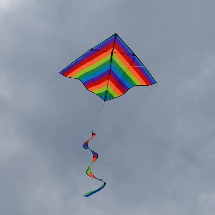 Rainbow Stripe 46 Inch Delta Kite W Spinning Tail - Kitty Hawk Kites Online Store