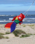 15 Inch Rainbow Damsel Fish - Kitty Hawk Kites Online Store