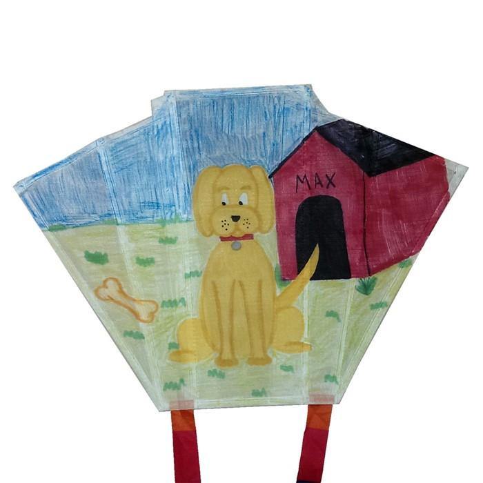 Sled Coloring Kite - Kitty Hawk Kites Online Store