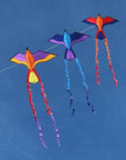 Tropical Parrot Bird Kite - Kitty Hawk Kites Online Store