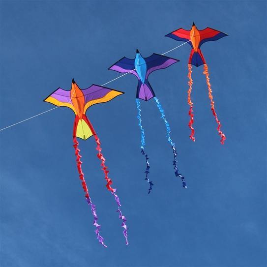 Tropical Parrot Bird Kite - Kitty Hawk Kites Online Store