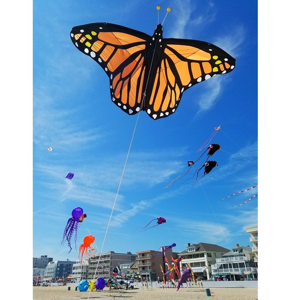 Giant Monarch Butterfly Kite - Kitty Hawk Kites Online Store