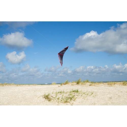 Whizz Speed Stunt Kite - Kitty Hawk Kites Online Store