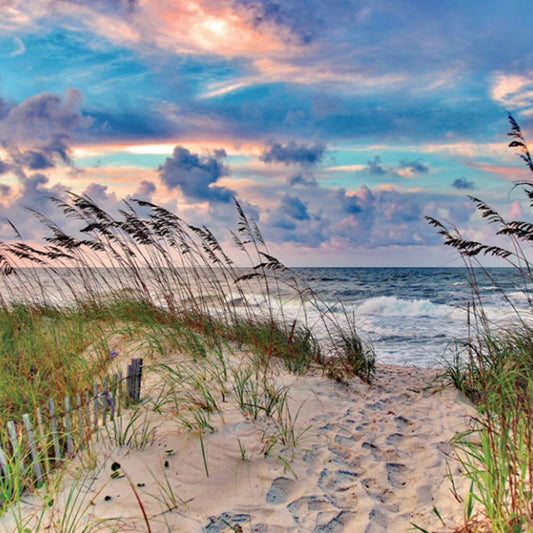 High Tide Puzzle - Kitty Hawk Kites Online Store