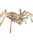 Eco Wood Art: Spider Puzzle - Kitty Hawk Kites Online Store