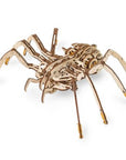 Eco Wood Art: Spider Puzzle - Kitty Hawk Kites Online Store