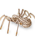 Eco Wood Art: Spider Puzzle - Kitty Hawk Kites Online Store