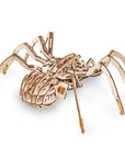 Eco Wood Art: Spider Puzzle - Kitty Hawk Kites Online Store