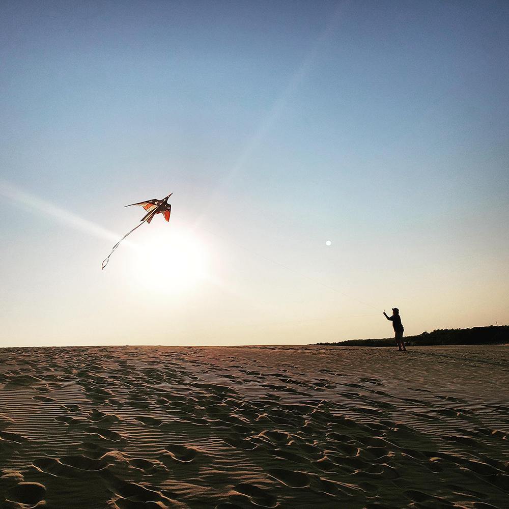 11.5 Foot Patriotic Thunderbird Kite - Kitty Hawk Kites Online Store