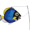 Powder Blue Sturgeon Swimming Fish - Kitty Hawk Kites Online Store