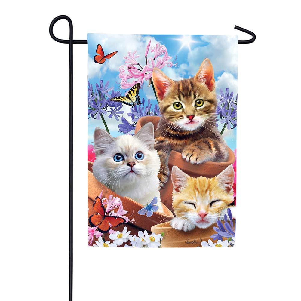 Kittens & Flowers Garden Flag - Kitty Hawk Kites Online Store