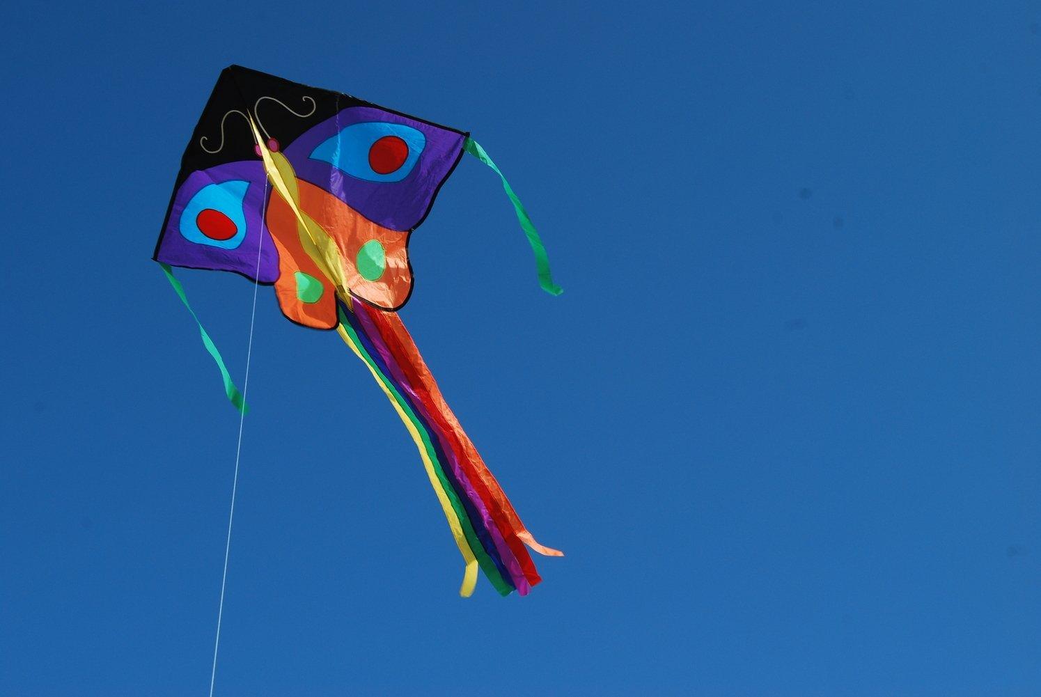 Butterfly Easy Flyer Kite - Purple & Orange - Kitty Hawk Kites Online Store