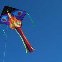 Butterfly Easy Flyer Kite - Purple & Orange - Kitty Hawk Kites Online Store