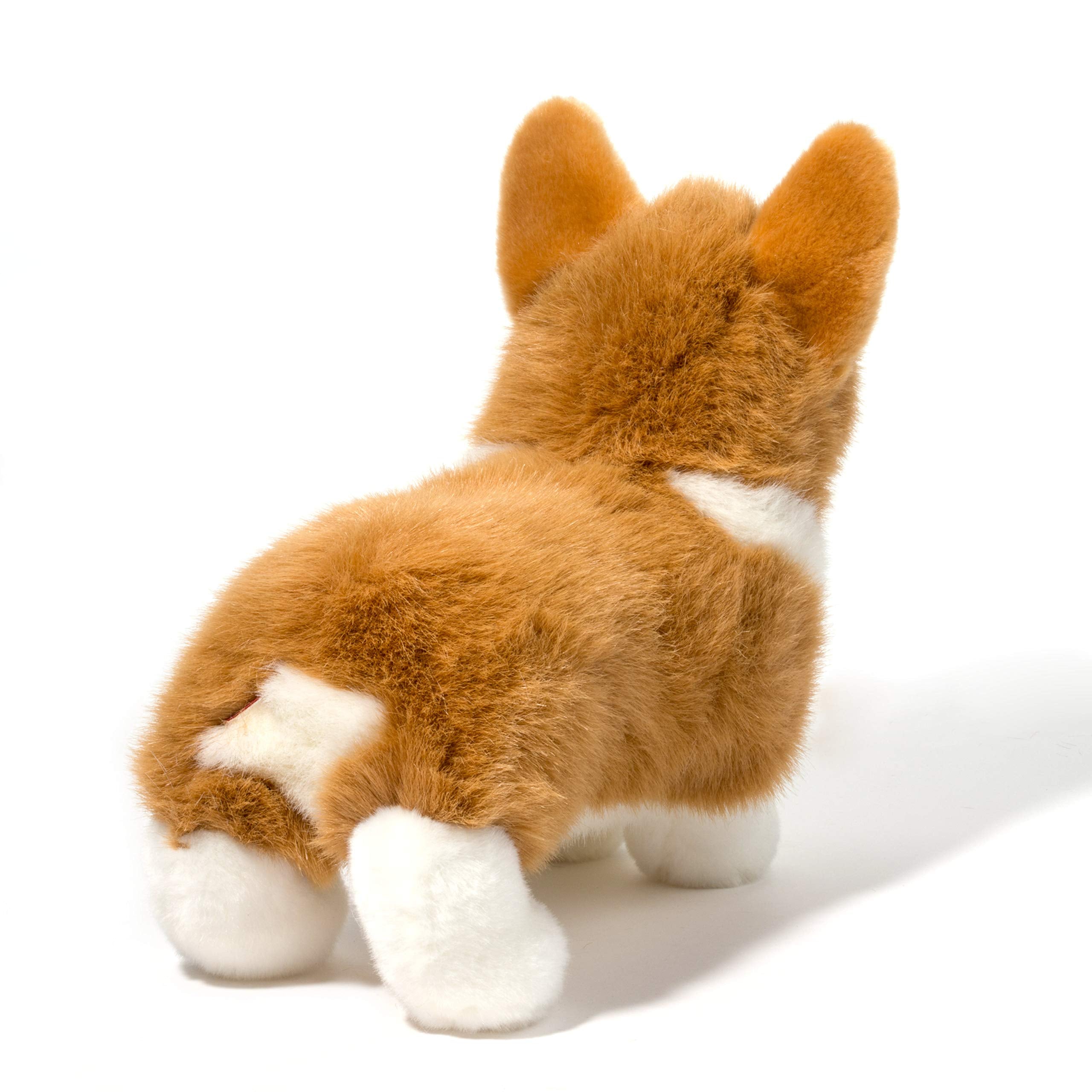 Ingrid The Corgi – Kitty Hawk Kites