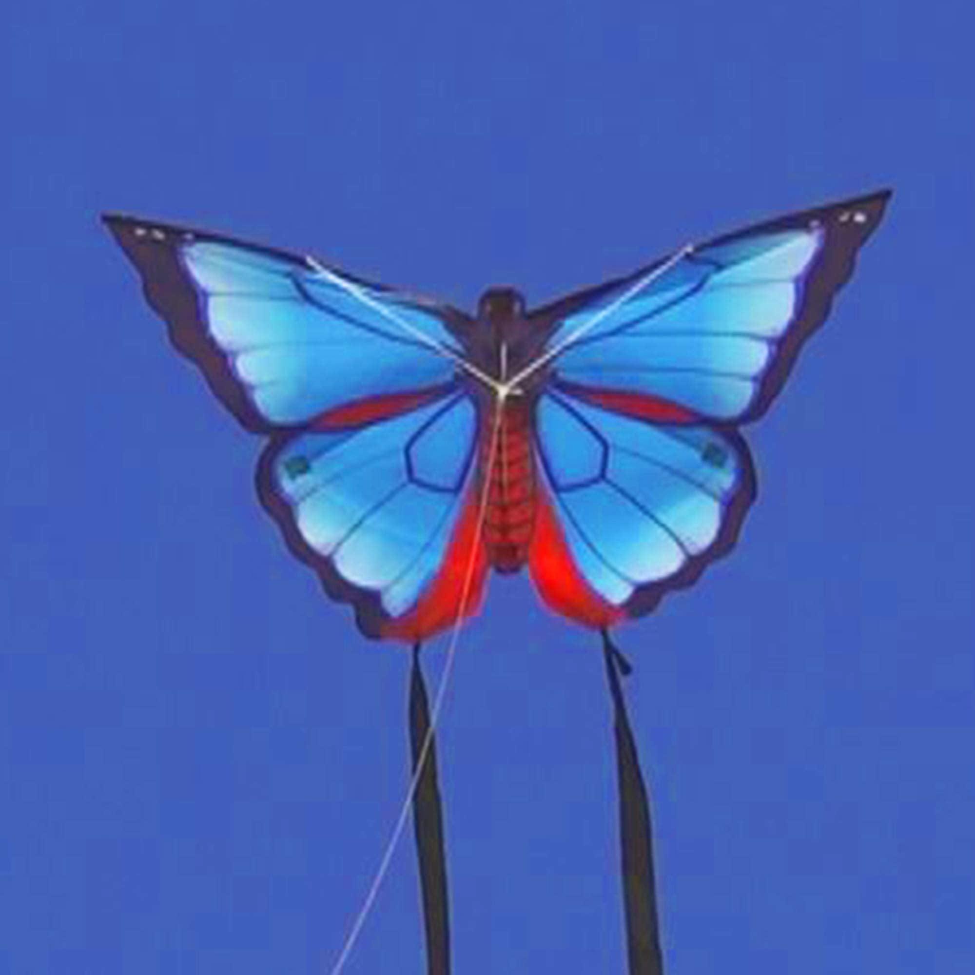 Karner Blue Butterfly Kite 32in - Kitty Hawk Kites Online Store