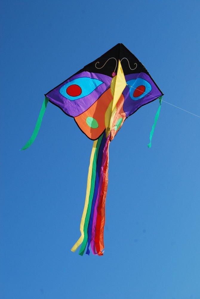 Butterfly Easy Flyer Kite - Purple & Orange - Kitty Hawk Kites Online Store