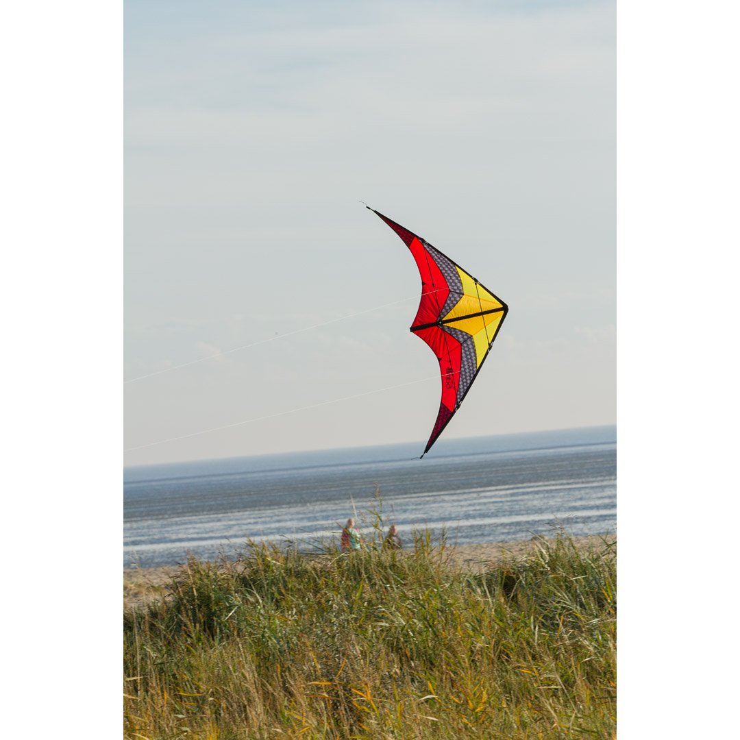 HQ Kites Limbo II Stunt Kite - Lava – Kitty Hawk Kites