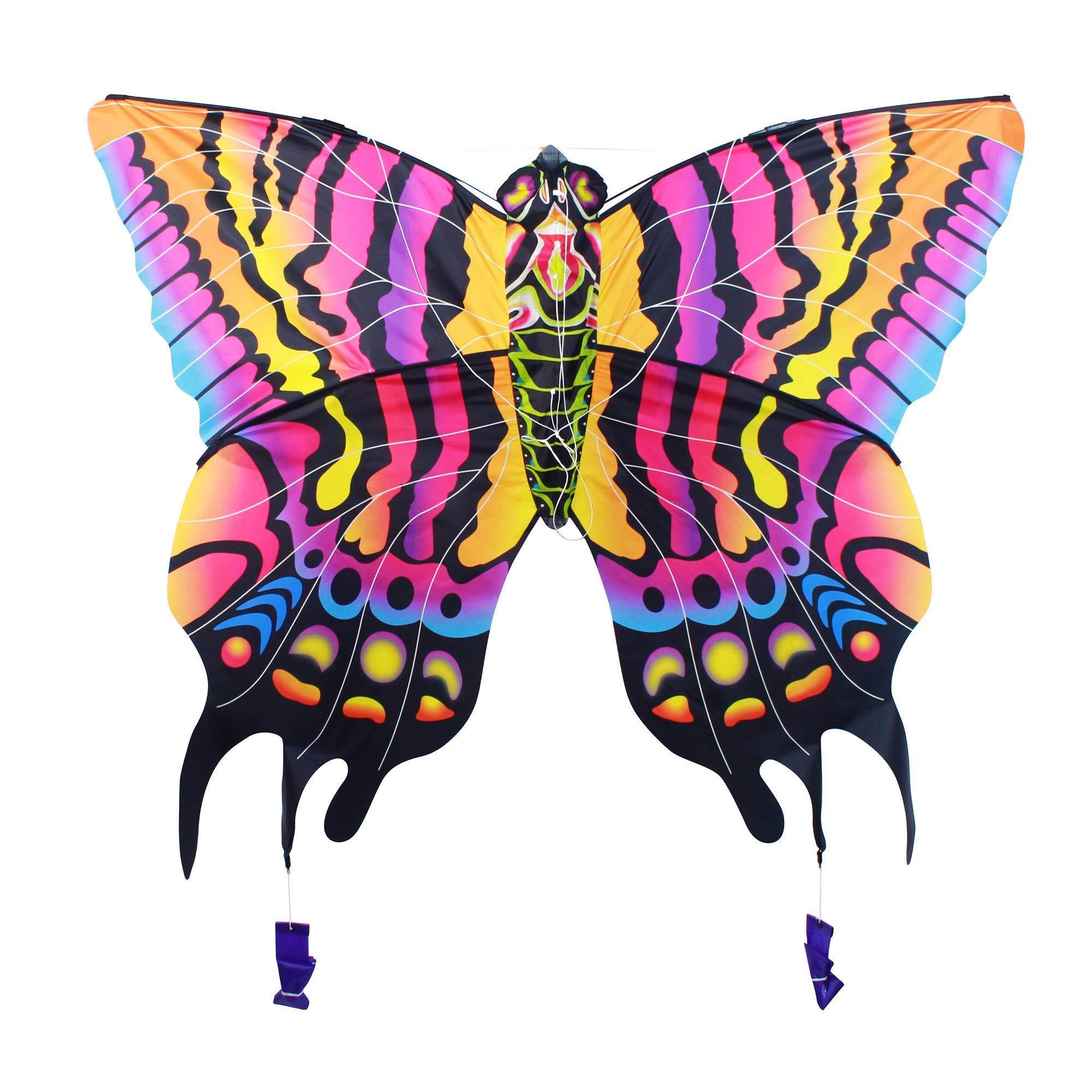 5ft 3D Butterfly Kite - Kitty Hawk Kites Online Store