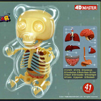4D Master Gummi Bear Skeleton Anatomy Model Kit, Clear