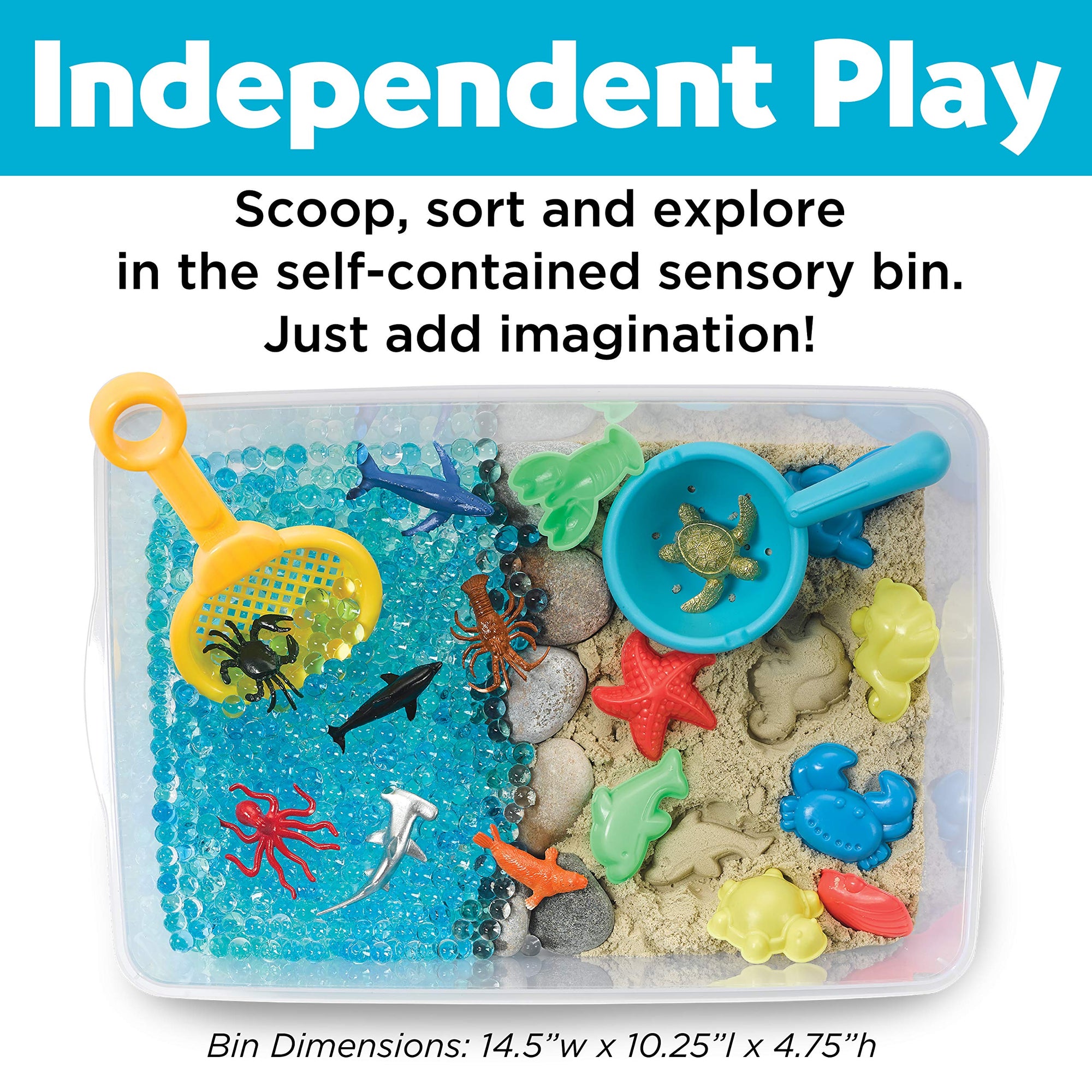 Sensory Bin Ocean and Sand - Sandbox - Kitty Hawk Kites Online Store