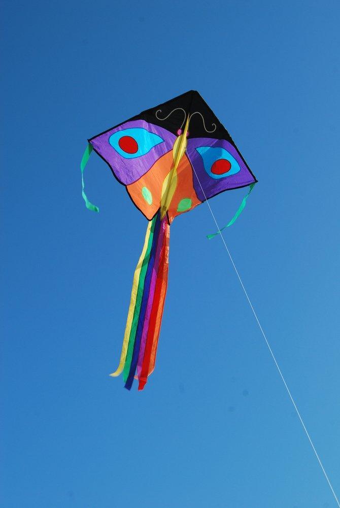 Butterfly Easy Flyer Kite - Purple &amp; Orange - Kitty Hawk Kites Online Store